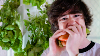 A Self-Sustaining Indoor Garden System Made Me a Summer Fresh Sandwich